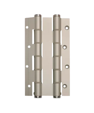 DA180E - cerniera doppia azione 180 x 30 - Colore Argento