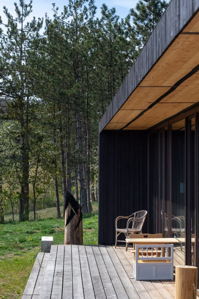 Legno per pavimentazioni rivestimenti e terrazze Black Dahlia