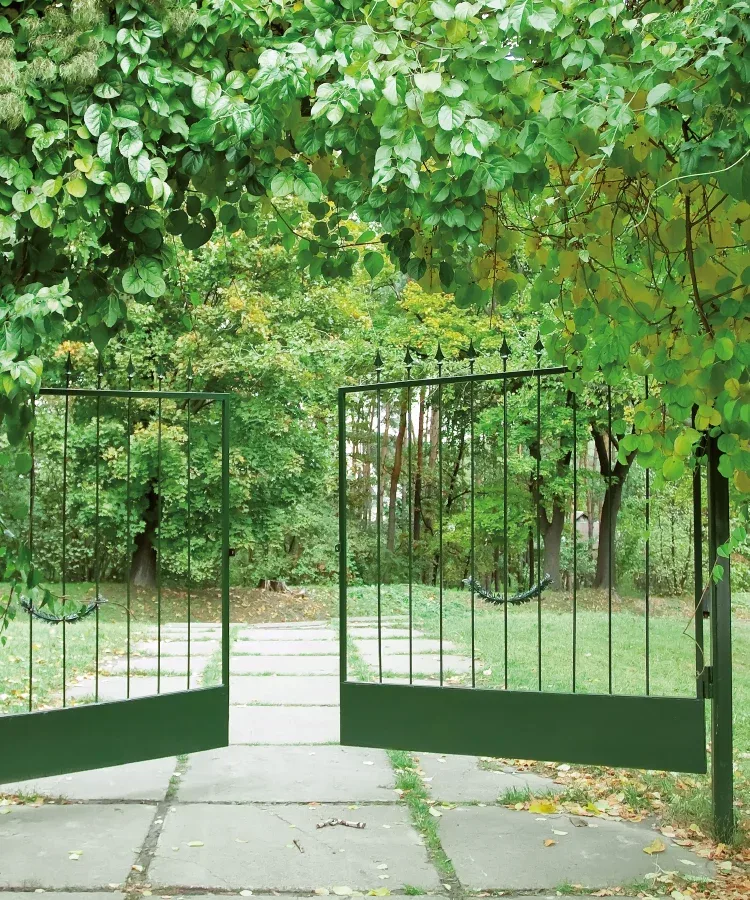 Perno a Goccia 180 con cuscinetto PG CR 180