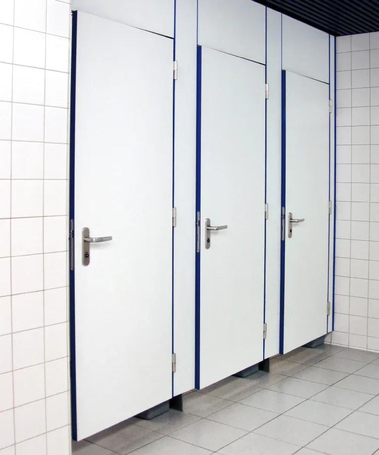 SF120 - cerniera complanare pe porte