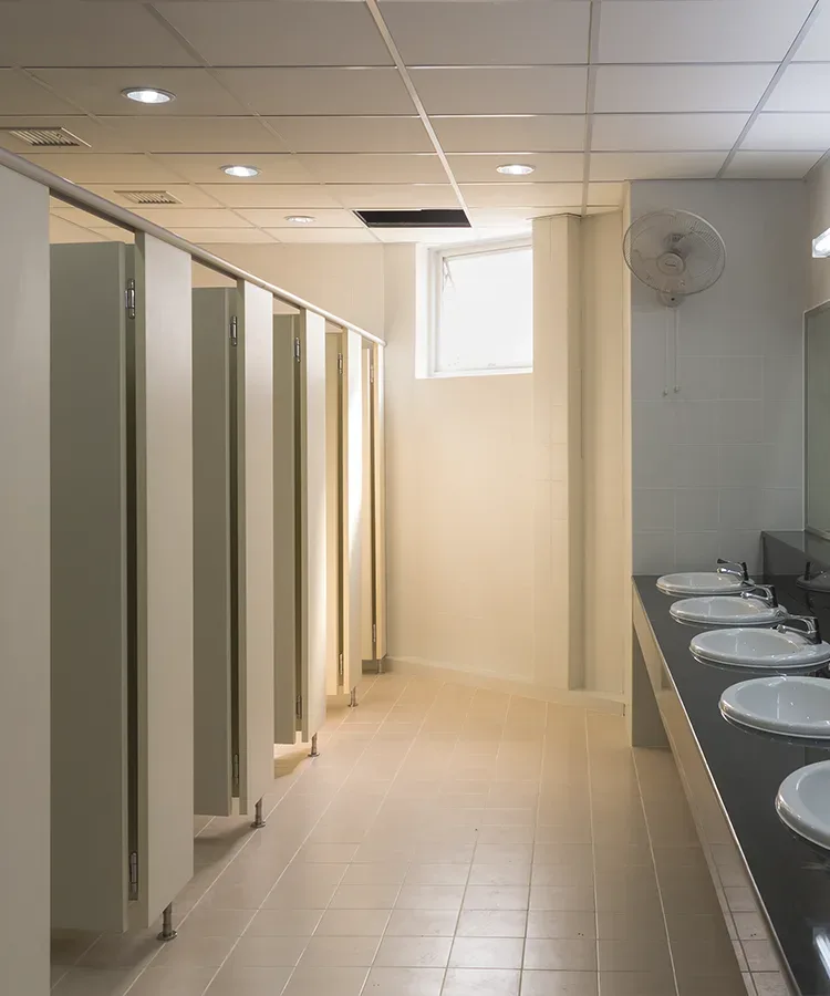 STW150 - cerniera a molla per porte